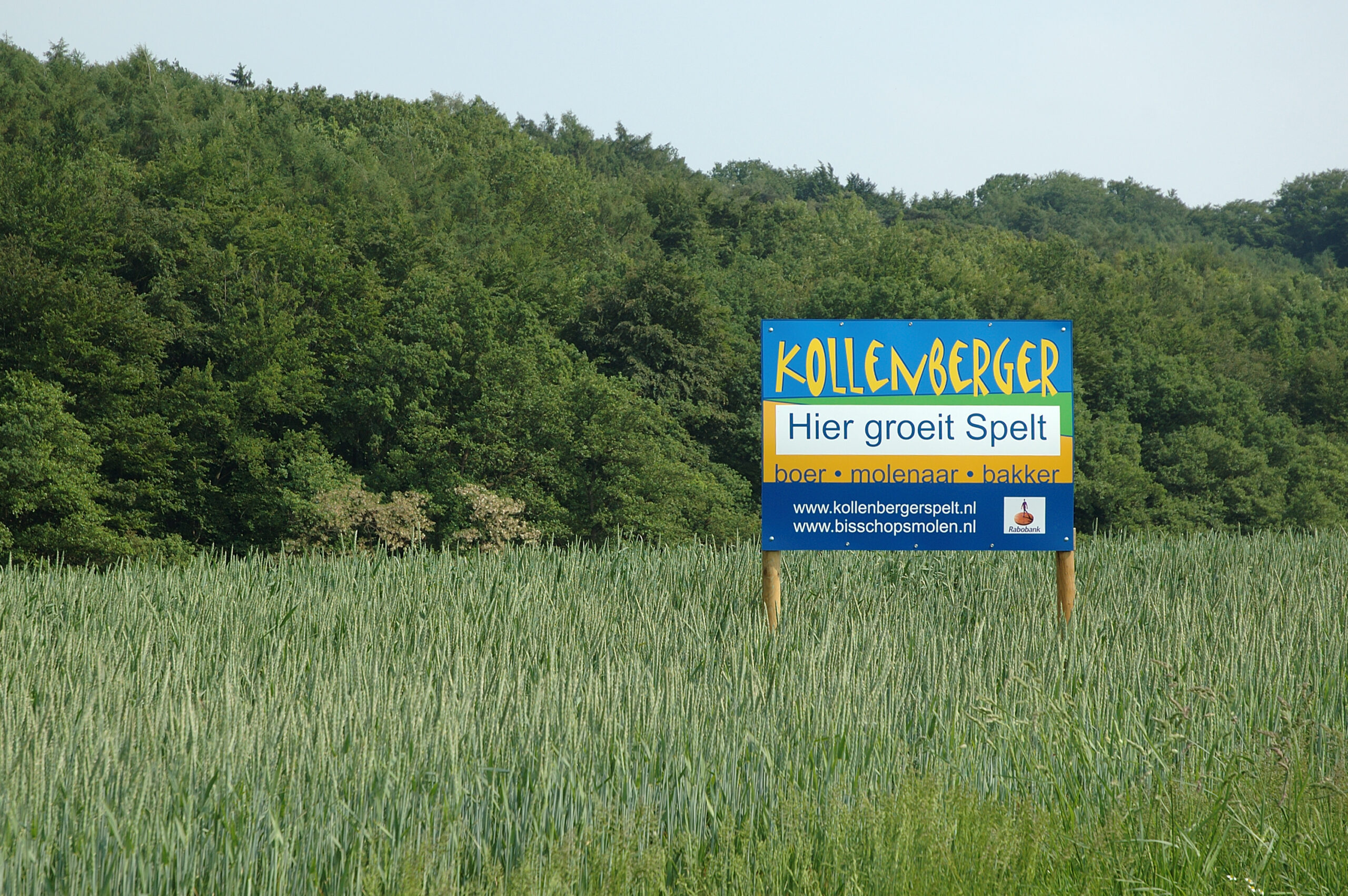 Kollenberger spelt